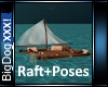 [BD]Raft+Poses