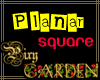 Planar: Square