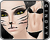 [ Cat - Pale