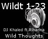 Wild Thoughts-DJ Khaled