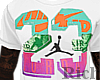 Air Jordan 23 T Shirt