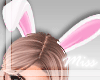 MD♛Bunny Ears White 2