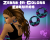 Zebra In Colors Earrings