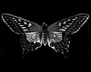 Butterfly Ore Black