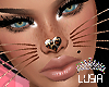 LL** Golden cat whiskers