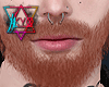 K| Artem Beard MH lll