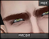 🔻Nahuel Brows