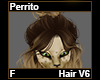 Perrito Hair F V6