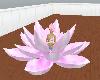 Lotus meditation6