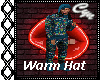 Warm Hat