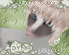 Silver Rain - Sadi