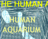 The Human Aquarium
