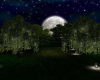 Moonlight Garden