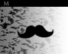 Mr. M