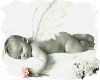[DF]sleeping baby angel