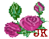 Animated Pink Roses 01