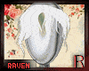 𝓡𓄿Fyn Bangs White