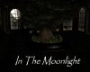 AV In The Moonlight