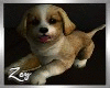 ZY: Cute Puppy Love