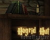 Hagrid - Book shelf