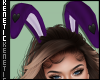K. Bunny Ears Purple