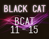 BLACK CAT Pt2