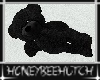 Black Cuddle Teddy