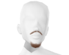 tache 10