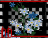 @DD@ Clematis Flower Blu