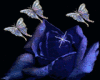 BLUE ROSE W/ BUTTERFLIES