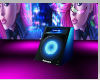 speaker