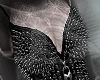 B'Corsetto
