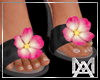 !AM Wild Orchid S