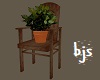 Garden chair with plant