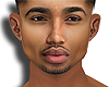Gregory Mesh Head