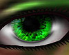 Emerald Forest Eyes