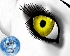 [S]Yellow Eye {F}
