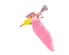 animated pink bird