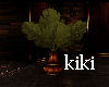 [kiki] plant rare 2