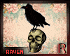 𝓡𓄿 Raven & Skull