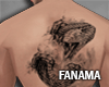 Snake tattoo |FM566
