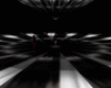 Black White Light