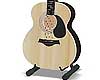 acoustic guitar