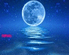 moon night getaway
