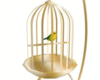 Gold Caged Parakeet