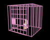 Slave Cage Pink