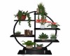 Black Plants Shelf