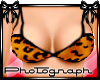 ~Leopard Bikini Top