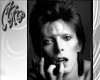 David Bowie Picture