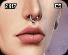 CS. I-II-III-IV-V